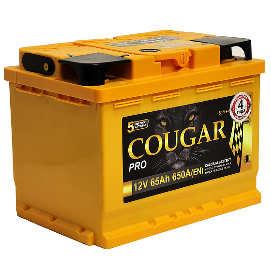 Аккумулятор - COUGAR PRO 65A/h (L+) 650А 242х175х190мм / COU65L.L2.PRO